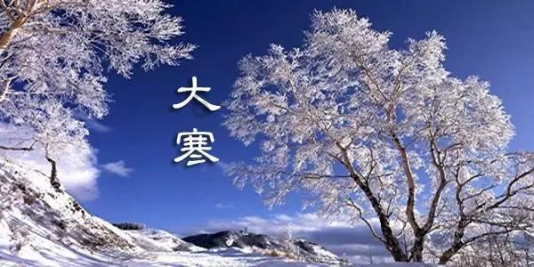 燃烧吧大脑免广告最新版